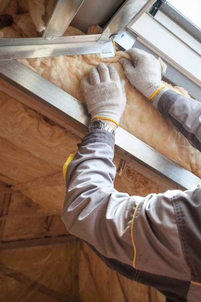 Best Residential Insulation in Paulina, LA