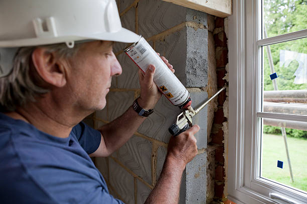 Best Cellulose Insulation in Paulina, LA
