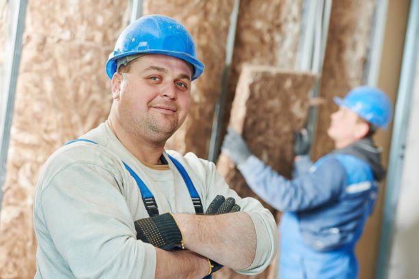 Best Energy Efficiency Insulation in Paulina, LA
