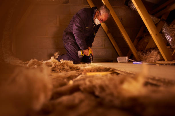 Best DIY Insulation Kits and Guidance in Paulina, LA
